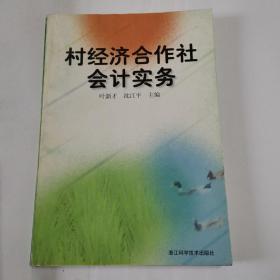 村经济合作社会计实务