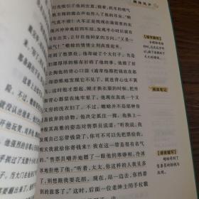 柳林风声（新课标 珍藏版）/世界经典必读文学名著