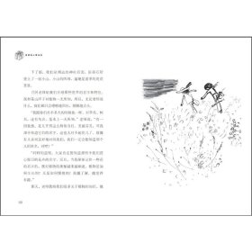 大石真经典作品集（非注音版，共7册）