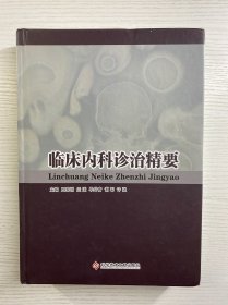 临床内科诊治精要（精装如图、内页干净）