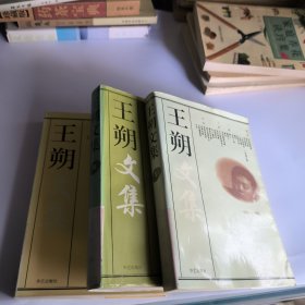 王朔文集1-3册(3本合售)