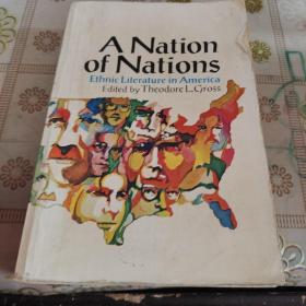 A NATION OF NATIONS  原版英文书