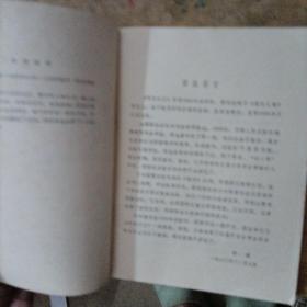 秃秃大王