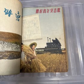 文艺学习 （1955年第1，8，11，12，）文艺报【1955年第23号】【五本合售】