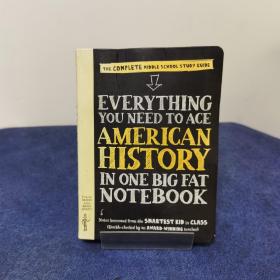 Everything You Need to Ace American History in One Big Fat Notebook