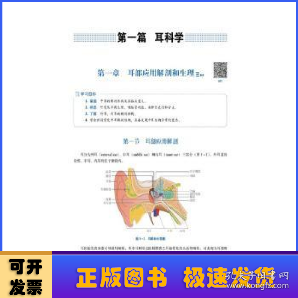 耳鼻咽喉头颈外科学（第2版）（）