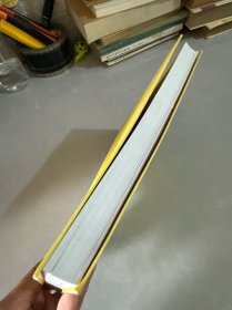 转型中的地方政府：官员激励与治理