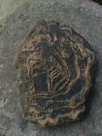 清代家谱印板，小板
