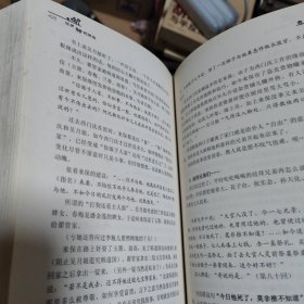 没有神的所在：私房阅读《金瓶梅》（候文咏）一版一印包正版