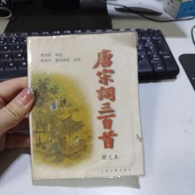 袖珍本三百首系列：唐宋词三百首（图文本）