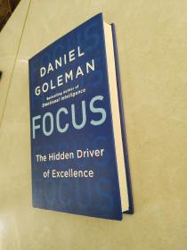 Focus：The Hidden Driver of Excellence