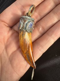 收来的景特蓝小挂件