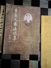 黄自元书法选集，姜东舒小楷永州八记，乾隆御臨米芾书十種，柳体楷书唐诗字帖，泰山赋沈鹏签名，线装，5本