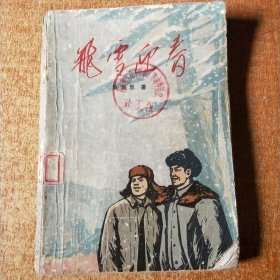 飞雪迎春