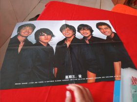 赵仁成 张赫 裴勇俊 金在元 车承元/谢霆锋 双面海报