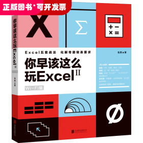 你早该这么玩Excel II （WiFi版）