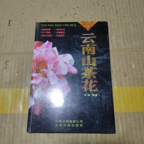 云南山茶花