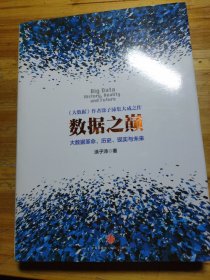 数据之巅：大数据革命，历史、现实与未来