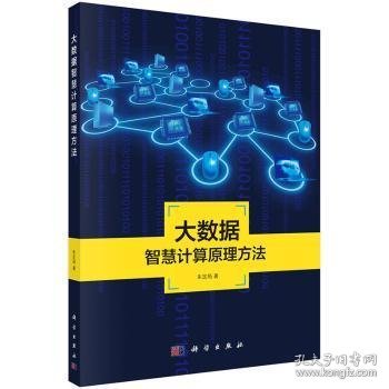 地理信息系统理论与应用丛书：大数据智慧计算原理方法