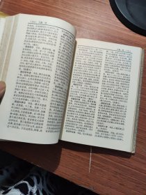 中国历史大辞典