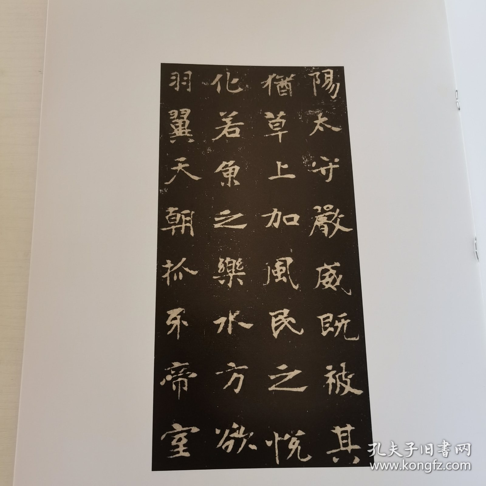中国碑帖经典：张黑女墓志