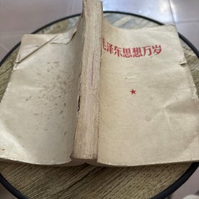毛泽东思想胜利万岁