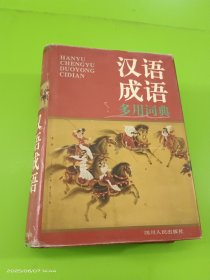 汉语成语多用词典