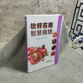 软籽石榴智慧栽培