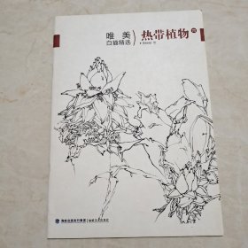 热带植物（4）/唯美白描精选