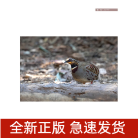 浙江烏巖嶺國家級自然保護區(qū)鳥類圖鑒（上冊）