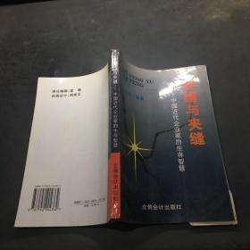 裂缝与夹缝:中国近代企业家的生存智慧