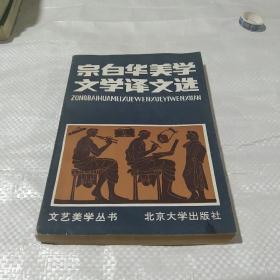 宗白华美学文学艺文选