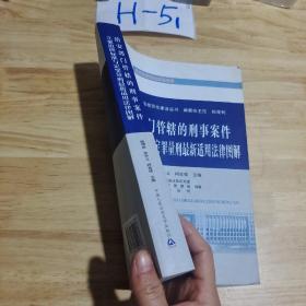 中国公安执法规范化建设丛书：治安部门管辖的刑事案件立案追诉标准与定罪量刑最新适用法律图解