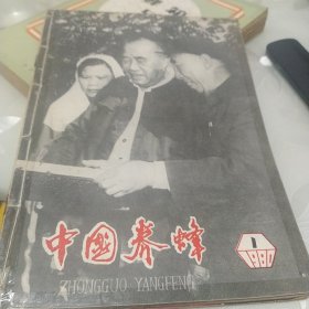 中国养蜂1980年1一6册有订孔