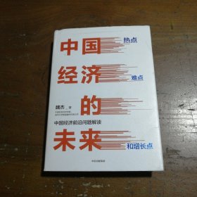 中国经济的未来：热点、难点和增长点