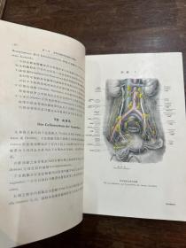 安井修平《妇科学》（16开精装带原函，金原书店1936年，有签名，带版权票），