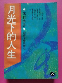 月光下的人生