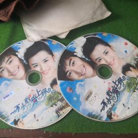 一不小心爱上你 DVD  双碟  裸盘