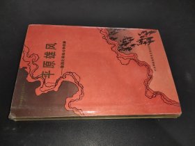 平原雄风：鲁西北革命斗争故事