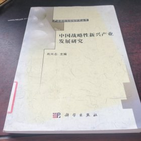 中国战略性新兴产业发展研究