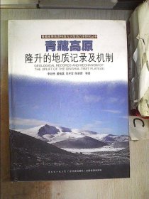 青藏高原地质构造与大陆动力学研究丛书：青藏高原隆升的地质记录及机制