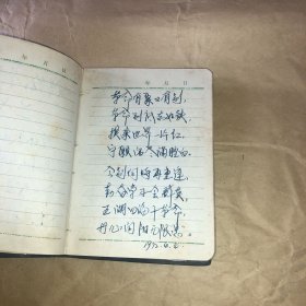 革命文艺（老日记本）