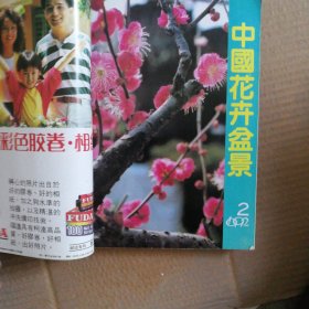 海外花卉盆景特辑 中国花卉盆景1992年1月～12月