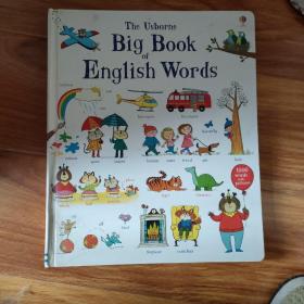 The Unborn Big Book of English Words