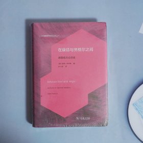 在康德与黑格尔之间：德国观念论讲座(当代德国哲学前沿丛书)
