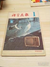 科学画报 1982年 。