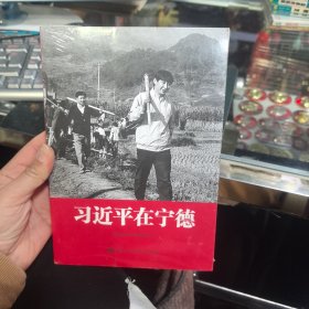 习近平在宁德