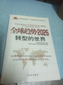 全球趋势2025：转型的世界