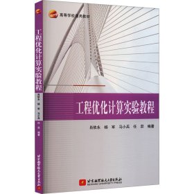 正版 工程优化计算实验教程 肖依永 杨 军 马小兵 著 9787512442634