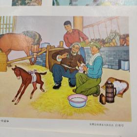 户县农民画选集 1974年初版